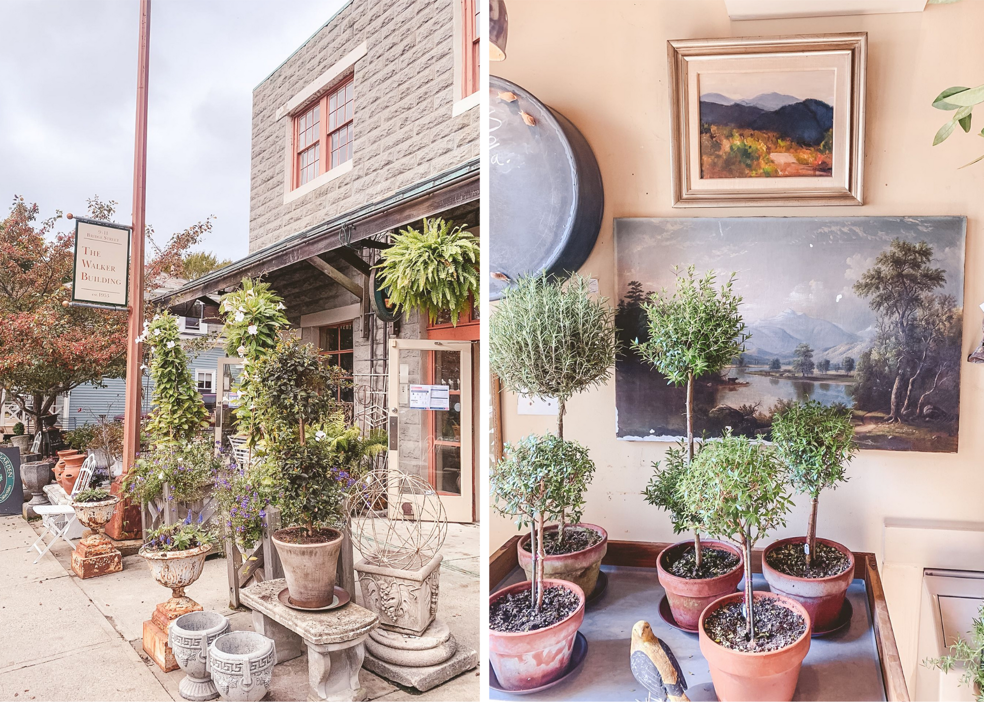 Collage of a plant-filled stone storefront and potted topiary plants displayed beneath landscape paintings.