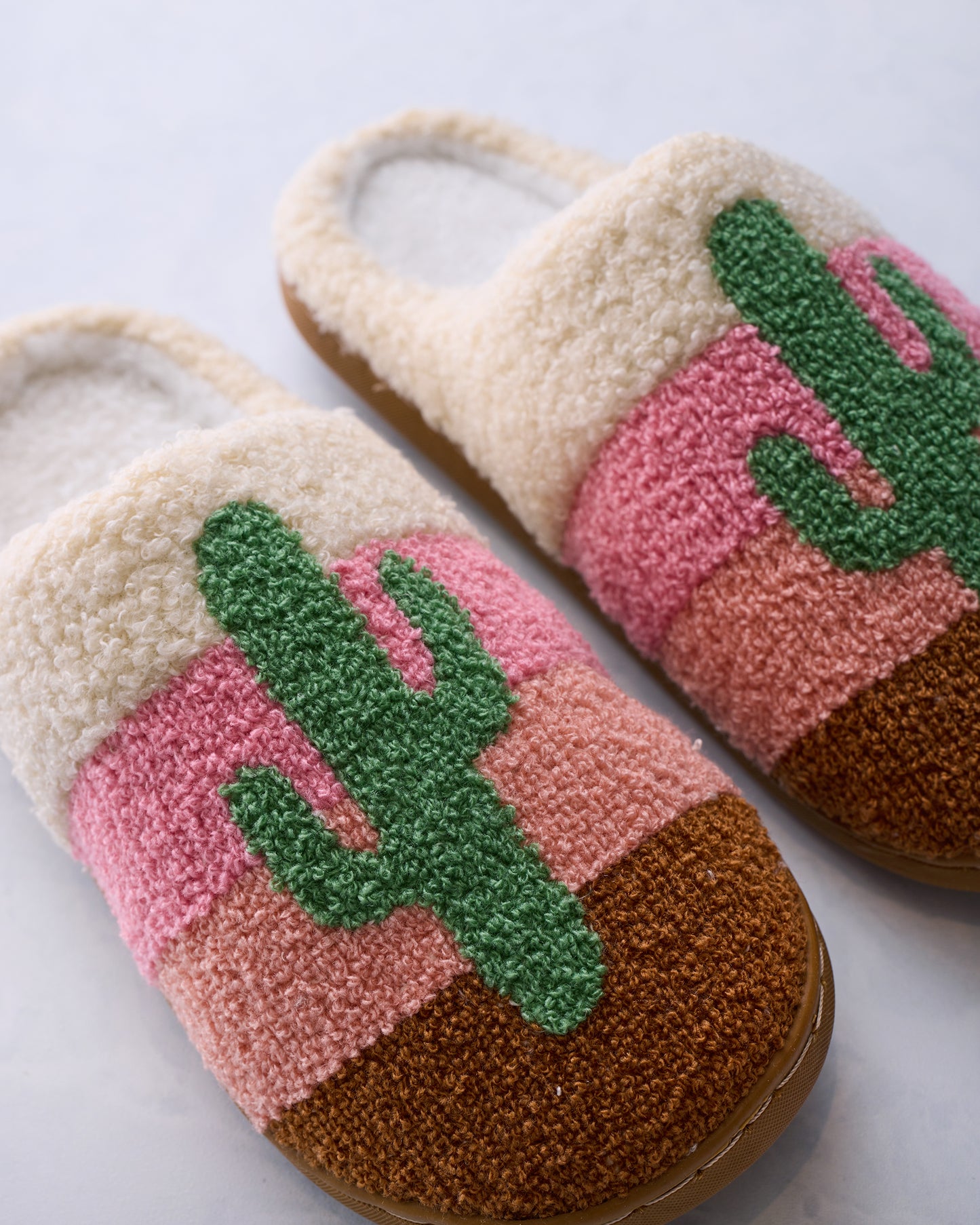 Indoor / Outdoor Slippers - Cactus in a Desert Scene: M/L - Printfresh