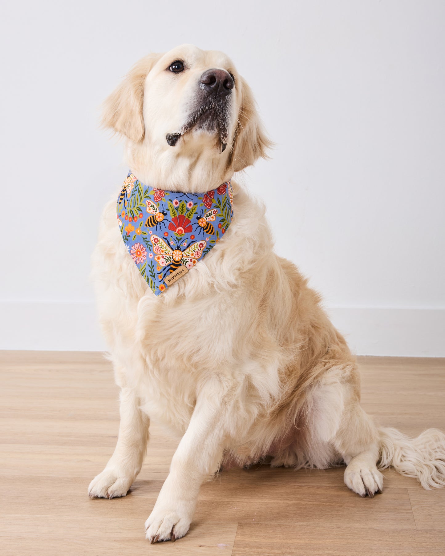 Seated golden retriever wearing a blue floral pet bandana printed with bees, butterflies, flowers, and leaves.