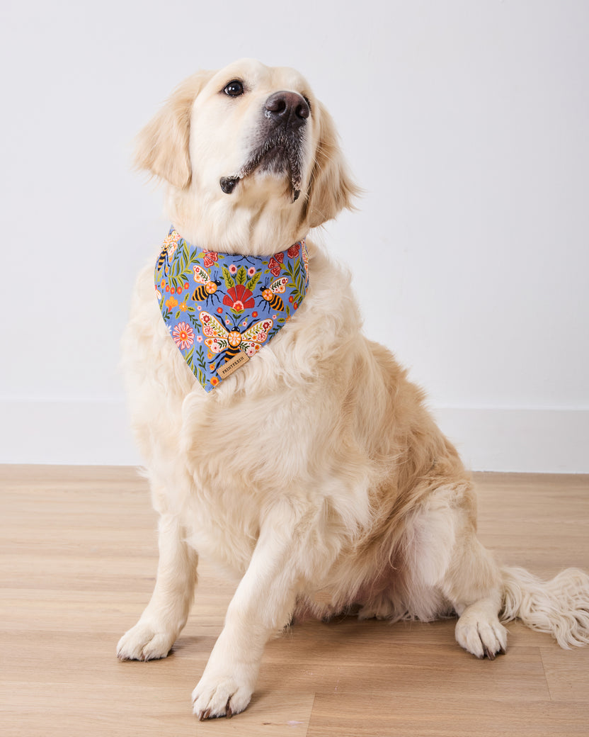 Seated golden retriever wearing a blue floral pet bandana printed with bees, butterflies, flowers, and leaves.