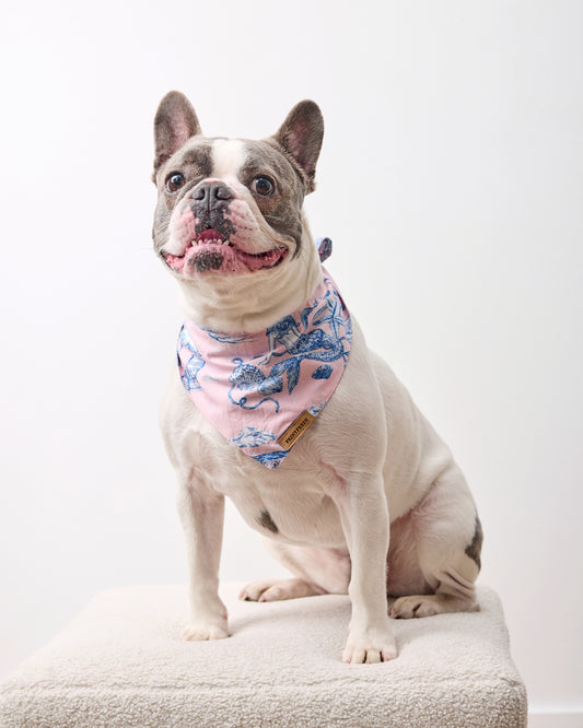 Mermaid Toile - Pet Bandana - Blush - Printfresh