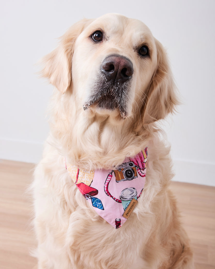 Emotional Baggage - Pet Bandana - Happy Place Pink