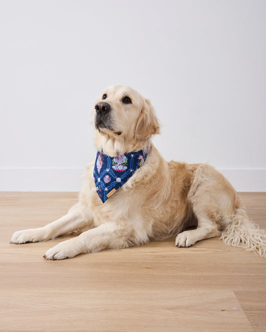 Underwater Enchantment - Pet Bandana - Navy - Printfresh