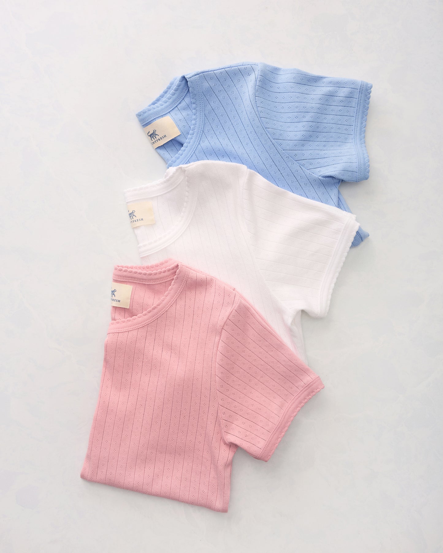 3-Piece Pointelle Tee Bundle - Multi - Printfresh
