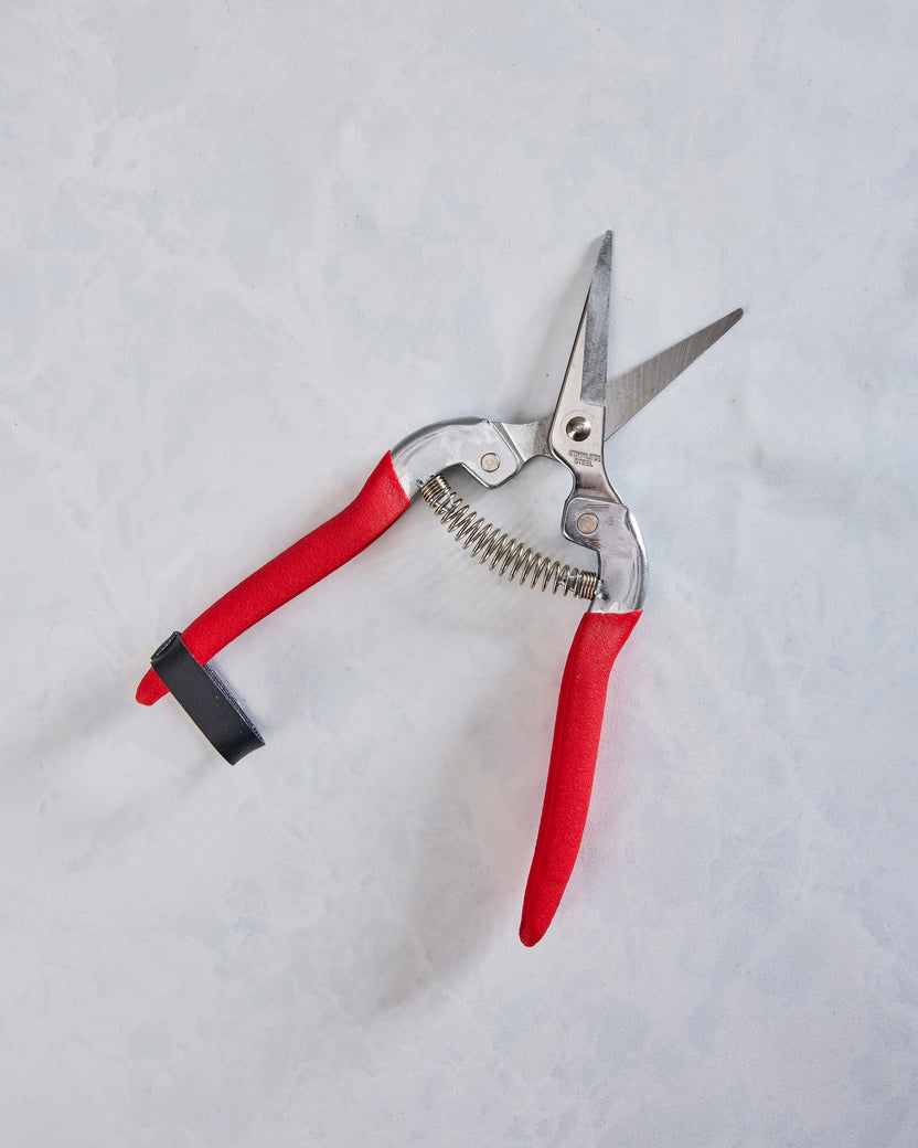 Garden of Paradise - Compact Garden Shears - Womanswork - Printfresh