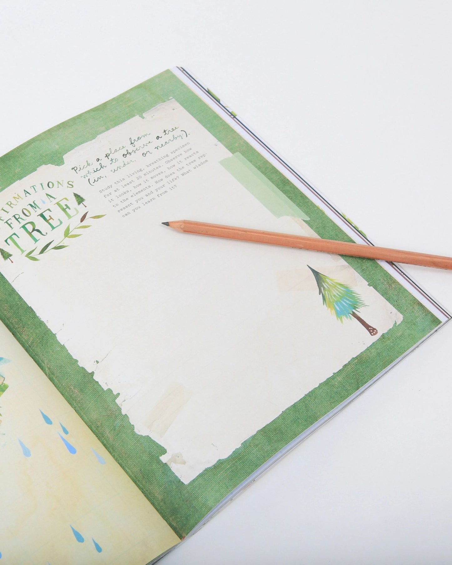 Multi - The Wildflower's Workbook - Chronicle Books