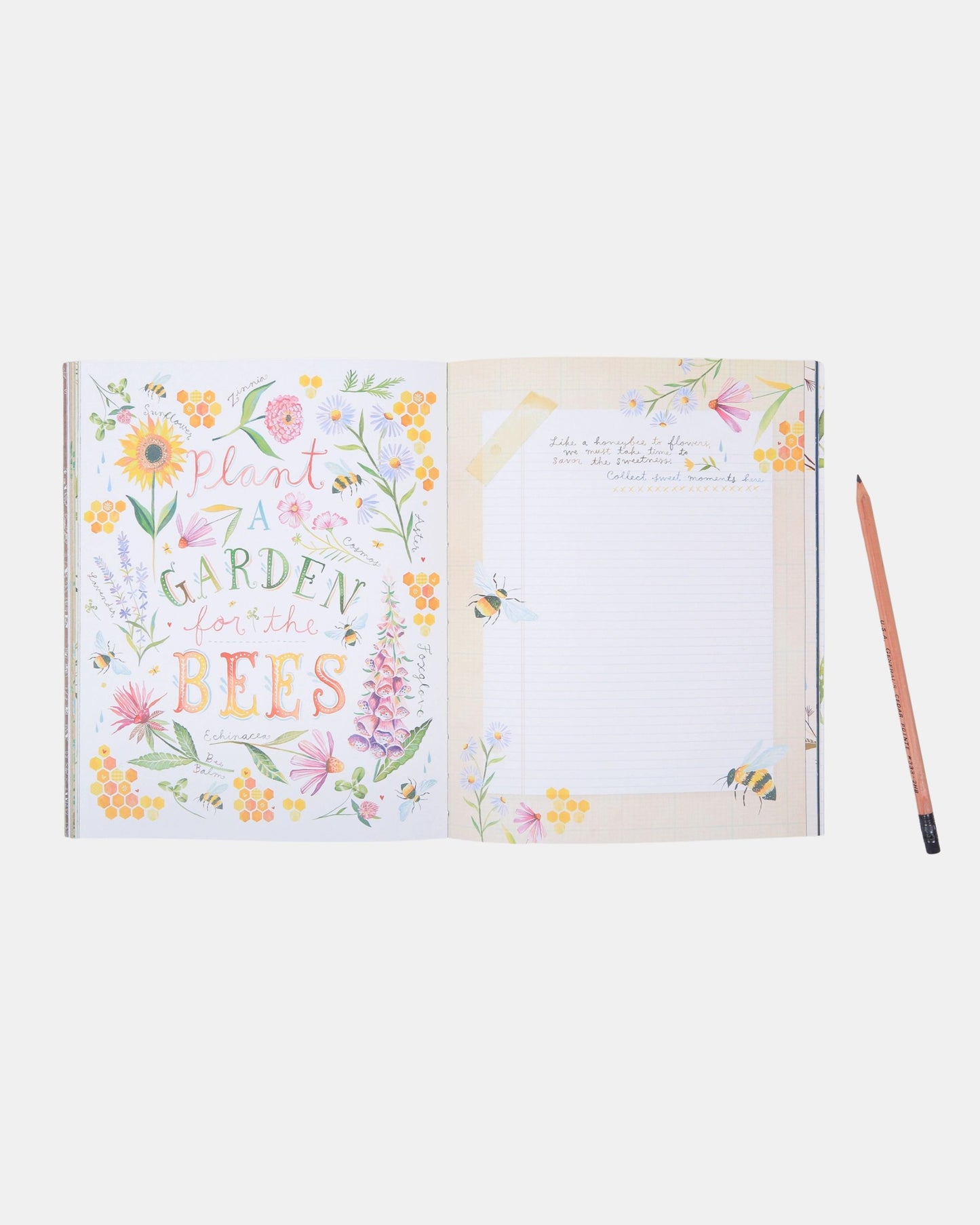 Multi - The Wildflower's Workbook - Chronicle Books