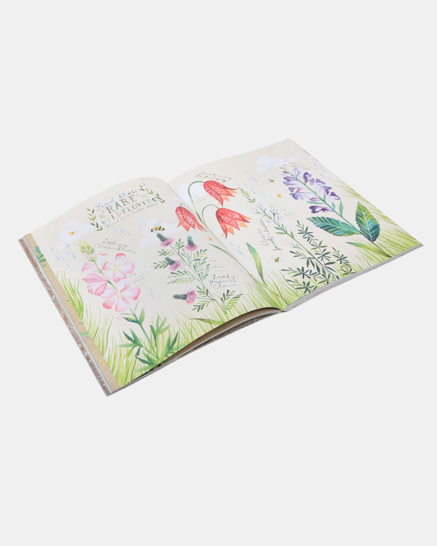 Multi - The Wildflower's Workbook - Chronicle Books