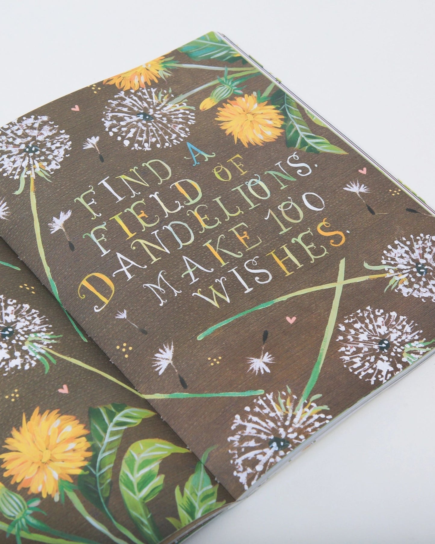 Multi - The Wildflower's Workbook - Chronicle Books