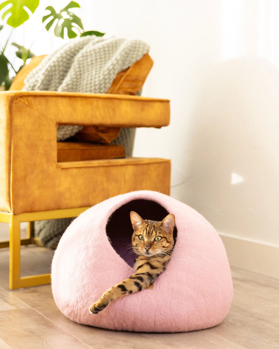 Cat sitting inside a pink cave-style cat bed in a room.