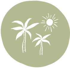 Generous PTO & Paid Holiday