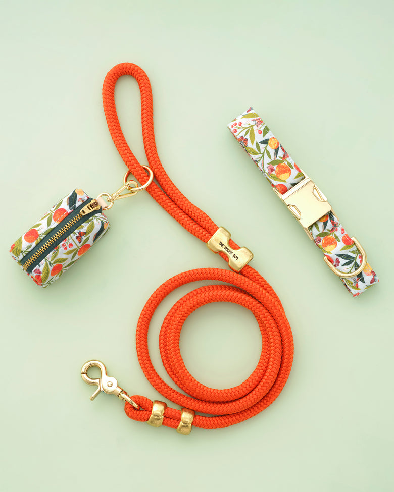 PF x The Foggy Dog Butterfly Grove - Walk Set Bundle - Multi - Printfresh